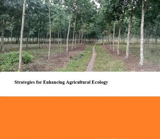 Strategies for Enhancing Agricultural Ecology