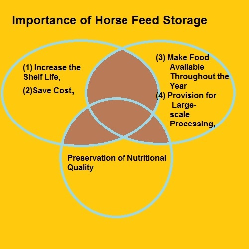 Importance of Horse Feed Storage