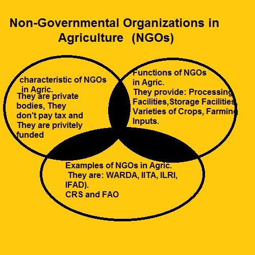 Non-Governmental Organizations in Agriculture