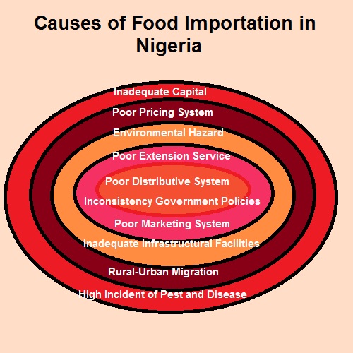 Causes of Food Importation in Nigeria