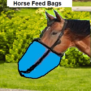 Horse Feed Bags
