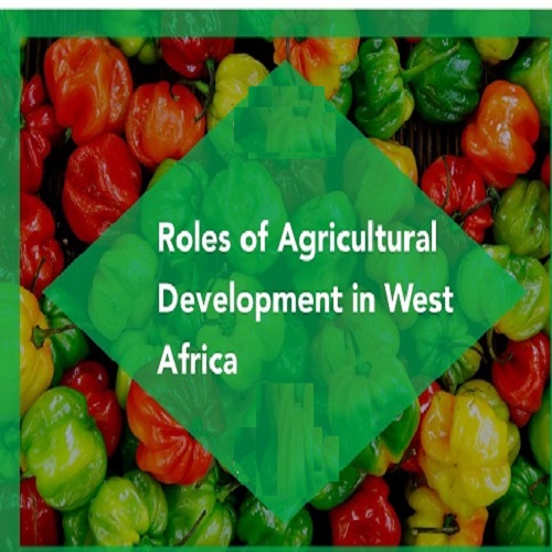 Role of Agricultural Extension in West Africa