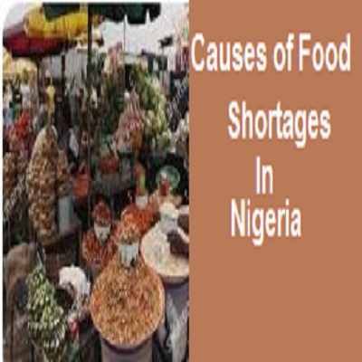 Causes of Food Shortages in Nigeria