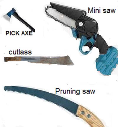 Palm Pruning Tools
