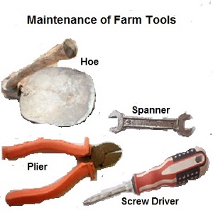 Maintenance of Farm Tools
