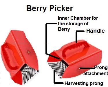Berry Picker