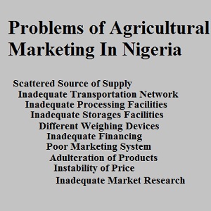 Problems of Agricultural Marketing