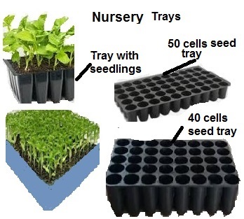 seed tray