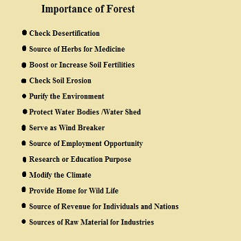 Importance of Forest