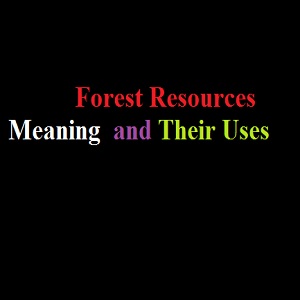 forest resources