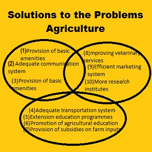 Solutions to Agricultural Problems