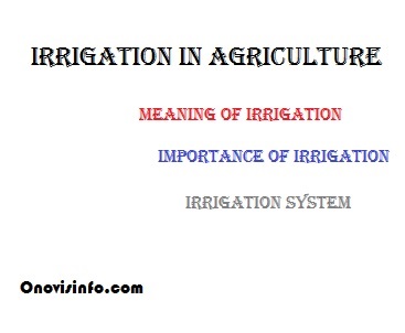 irrigation