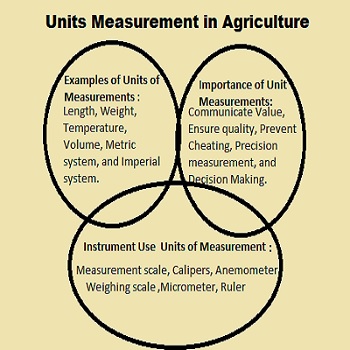 Unit Measurements